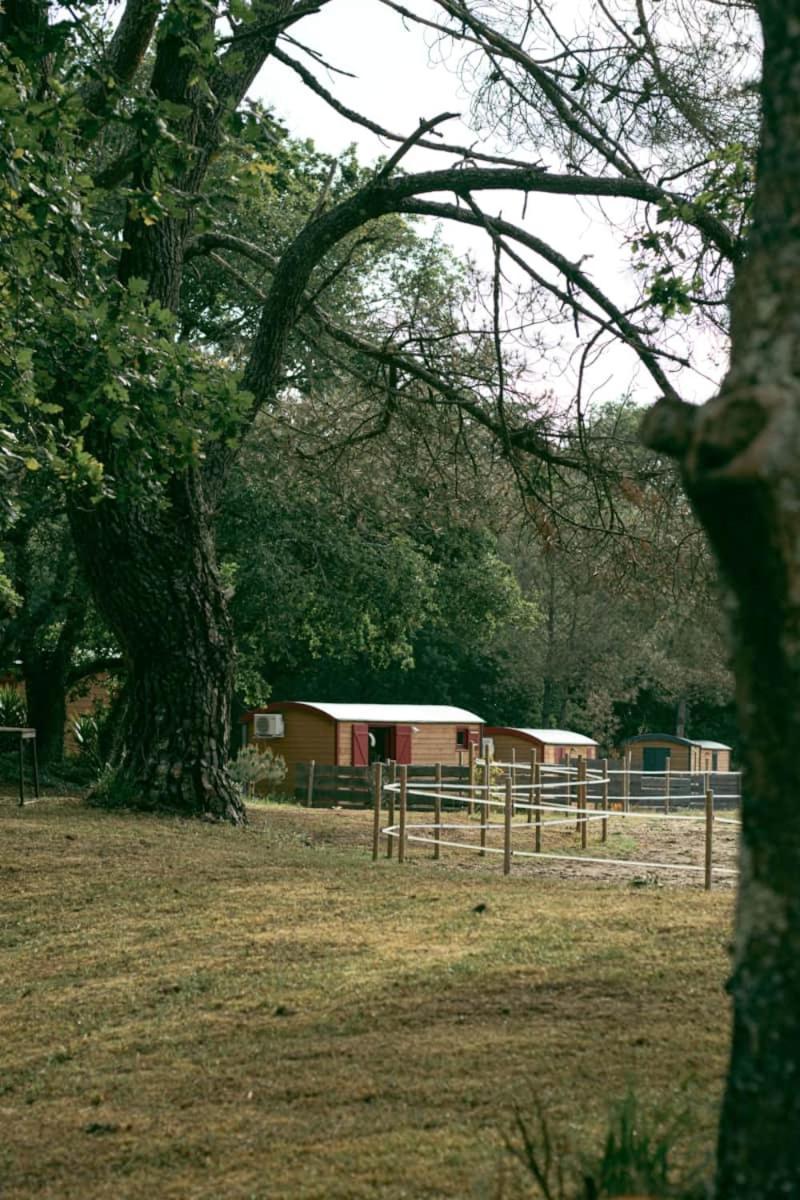 Hotel Roulottes Cocooning Au Coeur Des Landes Mées Zewnętrze zdjęcie