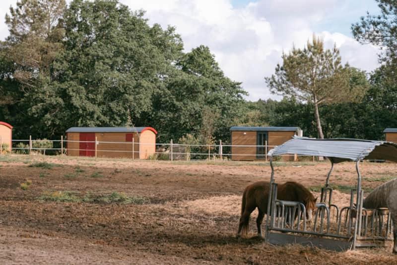 Hotel Roulottes Cocooning Au Coeur Des Landes Mées Zewnętrze zdjęcie